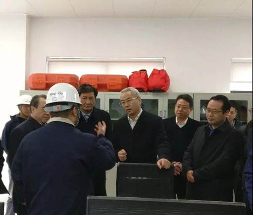 浙江省丽水市市长吴晓东前往浙江一定发能源开发有限公司考察调研
